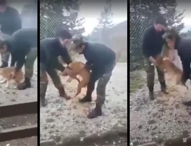 Ποινή φυλάκισης 10 ετών αποφάσισε το δικαστήριο για τους δύο στρατιώτες που είχαν κακοποιήσει σκύλο (φωτο)